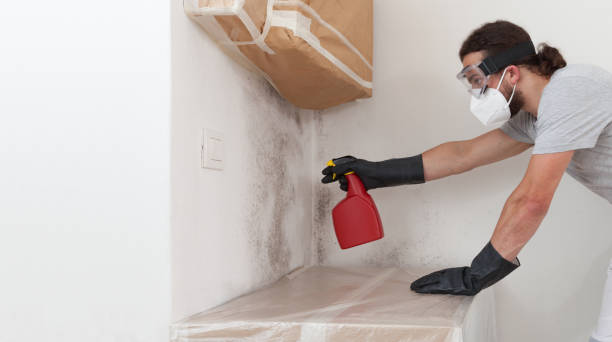 Professional Commercial Mold Remediation technician working in Helotes, TX